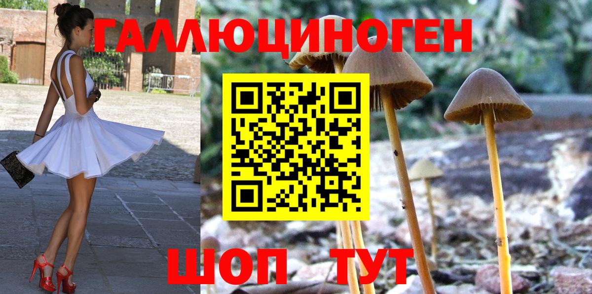 Галлюциногенные грибы GOLDEN TEACHER  Вход с VPN  Псилоцибиновые грибы Psilocybine cubensis  Керчь 